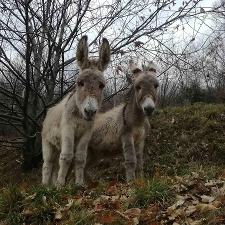בית חווה Agriturismo Verdure Naturali