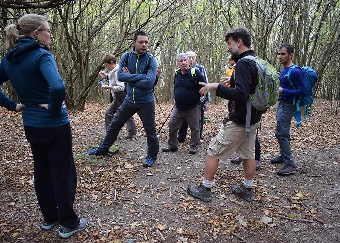 Agriturismo Verdure Naturali Feriegård