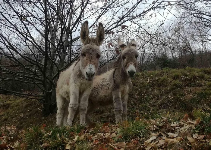 Feriegård Agriturismo Verdure Naturali