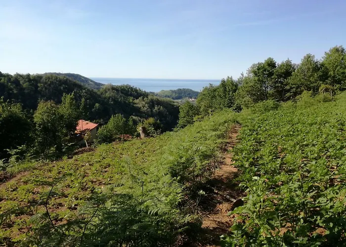 Agriturismo Verdure Naturali