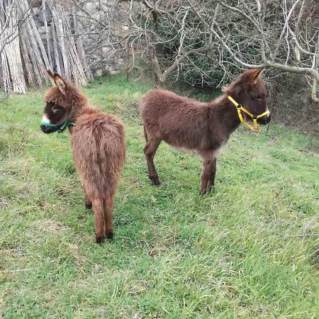 Фермерский дом Agriturismo Verdure Naturali